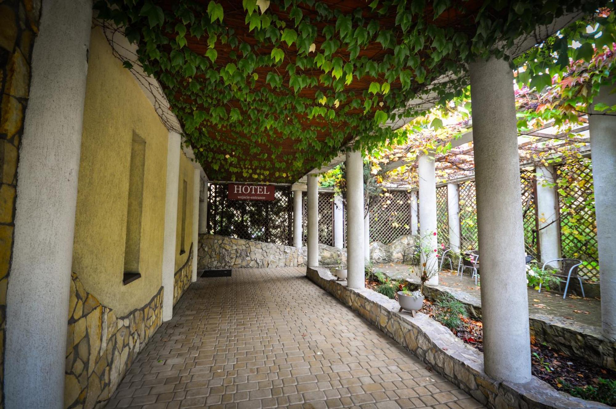 Hotel Trzy Swiaty Spa & Wellness Rajska Wyspa Γκλίβιτσε Εξωτερικό φωτογραφία